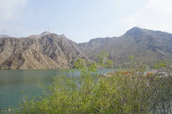 Vitex agnus-castus Nisan ayında Hawd al Bid 'ah rezervuarının kıyısında çiçek açar. Vitex agnus-castus, vitex, iffetli ağaç, chastetree, chasteberry, Abraham 's merhemi, leylak gülü, veya keşiş biberi, bir bitkidir. Wadi Wshee, Sharjah, BAE. 