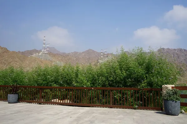 Vitex agnus-castus Nisan ayında Hawd al Bid 'ah rezervuarının kıyısında çiçek açar. Vitex agnus-castus, vitex, iffetli ağaç, chastetree, chasteberry, Abraham 's merhemi, leylak gülü, veya keşiş biberi, bir bitkidir. Wadi Wshee, Sharjah, BAE. 