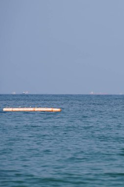 Nisan ayında Khor Fakkan Sahili 'ndeki Umman Körfezi sularındaki şamandıralarda terler ve martılar bulunur. Deniz kuşları, deniz kuşları, deniz ortamında hayata adapte olmuş kuşlardır. Khor Fakkan, Sharjah, BAE.                               