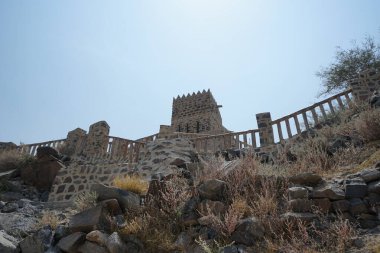 Forskaolea tenacissima Nisan ayında eski Najd Al Miqsar köyünde yetişir. Forskaolea tenacissima, ısırgan otu olmayan Forskaolea cinsinin bir üyesidir ve iğneleyici cinsiyle aynı ailedendir. Wadi Wshee, Sharjah, BAE.