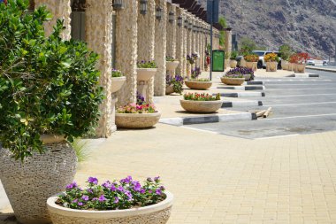 Nisan ayında çiçekli saksılar Al Rafisah Barajı dinlenme alanındaki yolun girişini süslüyor. Wadi Wshee, Sharjah, BAE.                              