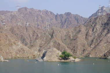 Gazella Arap hayvanları Nisan ayında Hawd al Bid 'ah rezervuarının kayalık kıyılarındadır. Arap ceylanı (