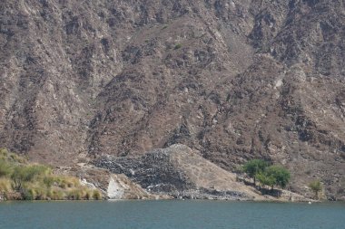 Gazella Arap hayvanları Nisan ayında Hawd al Bid 'ah rezervuarının kayalık kıyılarındadır. Arap ceylanı (