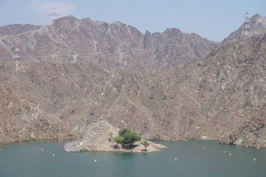 Gazella Arap hayvanları Nisan ayında Hawd al Bid 'ah rezervuarının kayalık kıyılarındadır. Arap ceylanı (