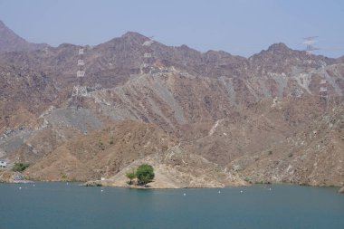Gazella Arap hayvanları Nisan ayında Hawd al Bid 'ah rezervuarının kayalık kıyılarındadır. Arap ceylanı (