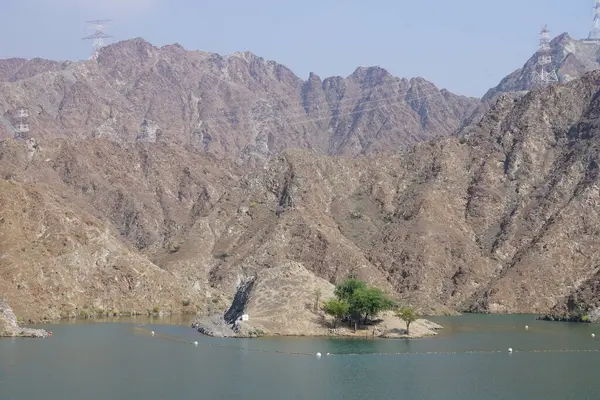 Gazella Arap hayvanları Nisan ayında Hawd al Bid 'ah rezervuarının kayalık kıyılarındadır. Arap ceylanı (