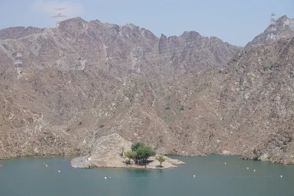 Gazella Arap hayvanları Nisan ayında Hawd al Bid 'ah rezervuarının kayalık kıyılarındadır. Arap ceylanı (