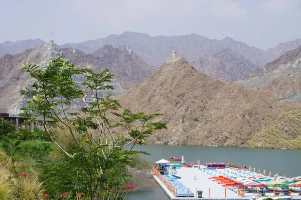 Hawd al Bid 'ah rezervuarı, Al khor Kayık tekne istasyonu ve İkiz Kuleler veya Al Rafisah Barajı' nda Nisan ayında bitki örtüsü bulunan pitoresk bir sahilden TheBigShots tarihi mimari kompleksi. Wadi Wshee, Sharjah, BAE.