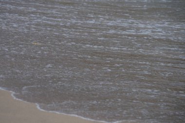 Nisan ayında Umman Körfezi yakınlarındaki Khor Fakkan Sahili 'nin kumları boyunca uzanan Ocypode rotundata adlı bir yengeç. Ocypode rotundata (yuvarlak hayalet yengeç), Ocypode cinsinin büyük boyutlu bir türüdür. Khor Fakkan, Sharjah, BAE.