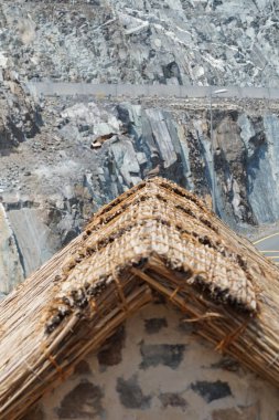 Tristis ve Spilopelia senegalensis kuşları eski Najd Al Miqsar köyü civarında yaşarlar. The Common Myna, Acridotheres tristis. Wadi Wshee, Sharjah, BAE.                         
