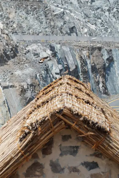Tristis ve Spilopelia senegalensis kuşları eski Najd Al Miqsar köyü civarında yaşarlar. The Common Myna, Acridotheres tristis. Wadi Wshee, Sharjah, BAE.                         