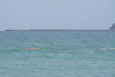 Nisan ayında Khor Fakkan Sahili 'ndeki Umman Körfezi sularındaki şamandıralarda terler ve martılar bulunur. Deniz kuşları, deniz kuşları, deniz ortamında hayata adapte olmuş kuşlardır. Khor Fakkan, Sharjah, BAE.                                  