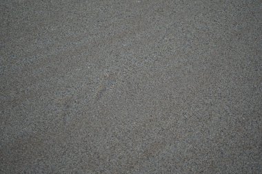 Nisan ayında Khor Fakkan 'da Umman Körfezi kıyısında hayvan izlerine sahip kum toprağı bulunur. Sharjah, BAE. 