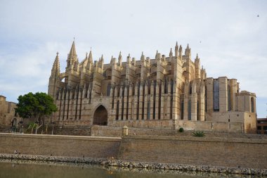 Palma Santa Maria Katedrali (İspanyolca: 
