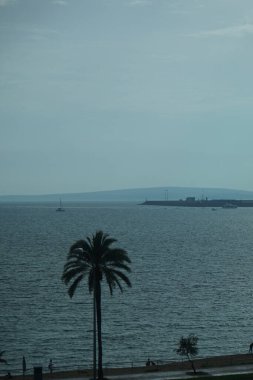 Eylül ayında İspanya 'nın Balearic Adaları, Palma de Mallorca kentinde bulunan Akdeniz kıyılarının manzarası.                                