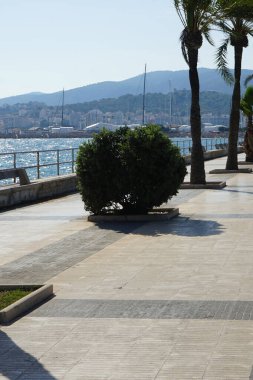 Akdeniz manzarası ve Eylül ayında Palma de Mallorca 'da gezinti alanı, Balear Adaları, İspanya.                     