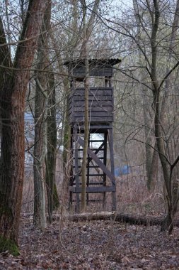 Ocak ayında bir ormanda bir hayvan izleme ya da avlanma kulesi bulunmaktadır. Berlin, Almanya, Avrupa.