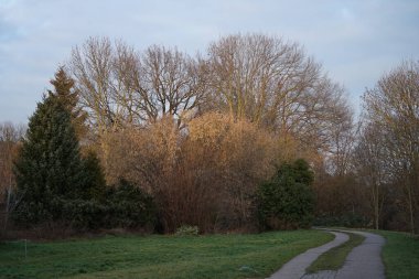 Ocak ayında Wuhle Nehri civarında güzel bir kış manzarası bulunur. Wuhle, Spree 'ye küçük bir sağ yaka haracı. Berlin, Almanya, Avrupa. 
