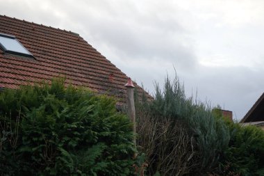 Tahta bir direk bahçedeki dekoratif kırmızı bir şapkayla süslenir. Berlin, Almanya, Avrupa.