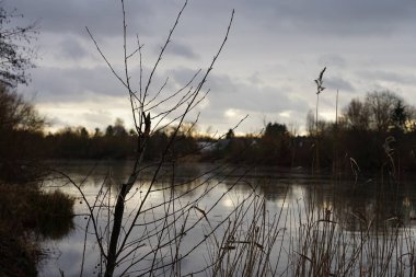 Lake Wuhlesee is partially covered with ice in February. Wuhlebecken or Wuhlesee is a lake in Marzahn-Hellersdorf, Berlin, Germany, Europe. 