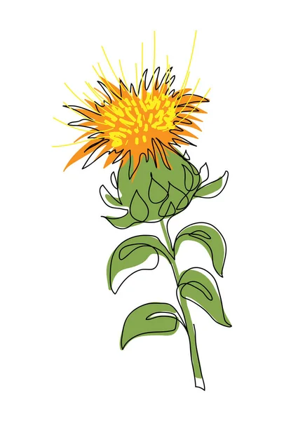 Safflower Flower Vector Illustration One Continuous Line Art Drawing Safflower — Stock Vector