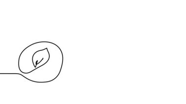 Şeftali rengi tek çizgi animasyon çizimi. Bir sürekli çizim çizimi animasyonu, şeftali meyvesi görüntüsü.