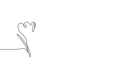 Timsahlar çiçekleri tek çizgi halinde canlandırır. Bir sürekli çizim çizimi animasyonu, bahar çiçekleri timsahlarının görüntüleri..