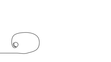 Kivi tek çizgi animasyon çizimi. Bir sürekli çizim çizimi animasyonu, kivi meyvesi görüntüsü.