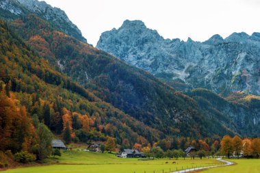 Sonbaharda Slovenya Alplerinde Logar Vadisi veya Logarska Dolina.