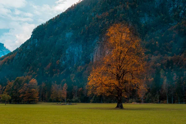 Vale Logar Dolina Logarska Nos Alpes Eslovénia Outono — Fotografia de Stock