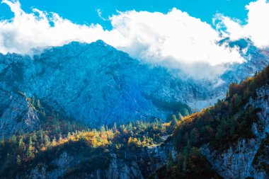 Logar Vadisi 'ndeki dağ zirveleri ya da Logarska Dolina, Slovenya Alpleri.