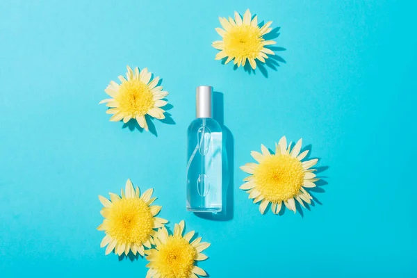 Cosmetic bottle with tonic and yellow chrysanthemums on blue background. Natural cosmetics concept. Top view, flat lay.