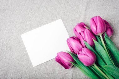 Mor laleler ve gri masa örtüsünde boş bir kart. Bahar tatili konsepti. Üst görünüm, düz görünüm, model.