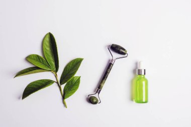 Ingredients for natural beauty treatment. Oil made of herbs, face roller and green plant. Top view, flat lay, copy space, mockup.