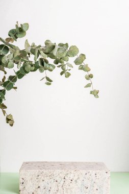 Podium made from natural stone, mock up for perfume or cosmetic, eucalyptus leaves. White and green background.