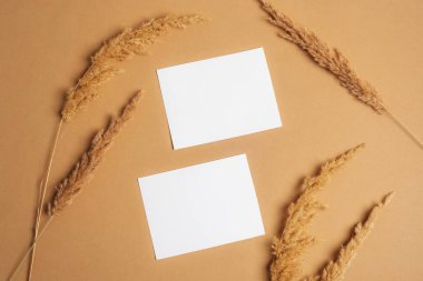 Blank paper sheet cards and pampas grass on beige background. Top view, flat lay, mockup.