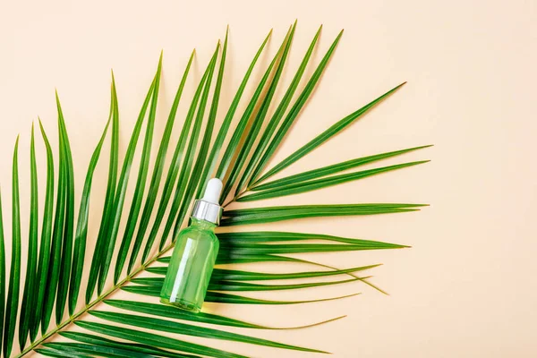 Green facial skin care cosmetic bottle on palm leaf. Top view, flat lay, mockup.