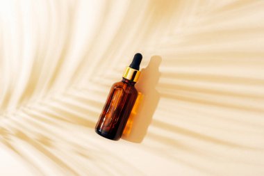 Kahverengi yüz bakımı kozmetik şişesi ve palmiye yaprağı gölgesi. Üst manzara, düz uzanma.