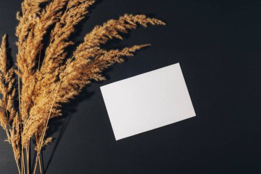 Pampas grass and blank card on black background. Top view, flat lay, mockup.