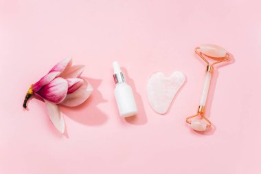Gül kuvars kristal yüz silindiri ve gua sha kazıyıcı, yüz serumu veya pembe arka planda organik kozmetik yağ. Kaldırma terapisi için yüz masajı kiti. Cilt bakımı yaşlanmayı önleyici aletler. Üst manzara, düz uzanma.