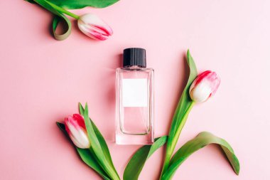 Parfüm şişesi ve pembe arka planda lale çiçekleri. Üst görünüm, düz görünüm, model.