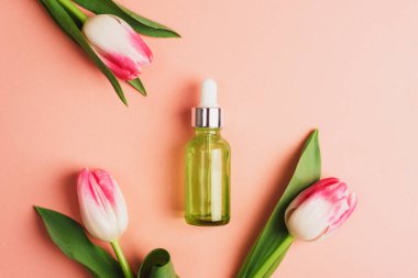 Yeşil serum şişesi ve mercan pembe arka planda lale çiçekleri. Üst görünüm, düz görünüm, model.