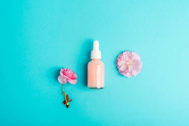 Serum şişesi ve turkuaz mavi arka planda pembe sakura çiçeği. Cilt bakımı, güzellik tedavi konsepti. Üst görünüm, düz görünüm, model.