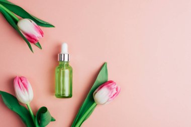 Yeşil serum şişesi ve mercan pembe arka planda lale çiçekleri. Üst görünüm, düz görünüm, kopyalama alanı.