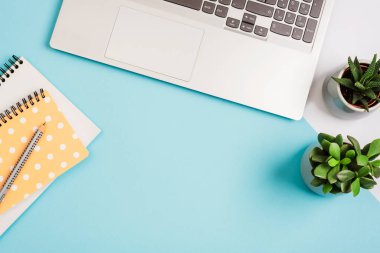 Dizüstü bilgisayar, not defterleri ve mavi arka planda sulu bitkiler. Rahat bir iş yeri, ev konsepti işi. Üst görünüm, düz görünüm, kopyalama alanı.