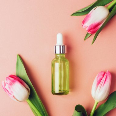 Yeşil serum şişesi ve mercan pembe arka planda lale çiçekleri. Üst görünüm, düz görünüm, model.