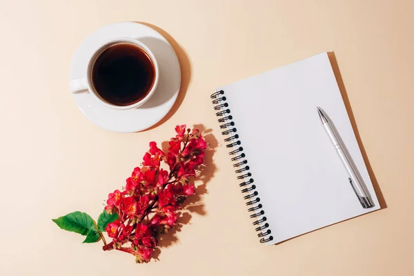 stock image Blank notepad, pen, coffee cup and Aesculus Carnea flower on light beige table with sharp shadows. Holiday concept. Top view, flat lay, mockup.