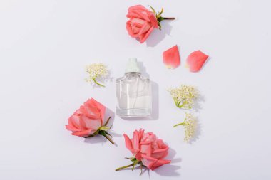 Cam parfüm şişesi ve beyaz arka planda koyu gölgeli mercan pembe gül çiçekleri. Üst görünüm, düz görünüm, model.