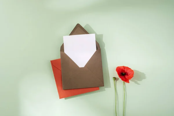 Umschlag Mit Leerer Karte Und Roter Mohnblume Auf Hellgrünem Hintergrund — Stockfoto