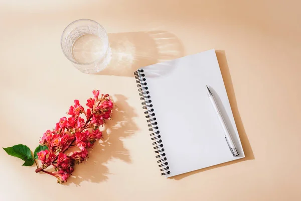 Blank notepad with pen, glass of water and Aesculus Carnea flower on neutral background with long shadows. Holiday concept. Top view, flat lay, mockup.